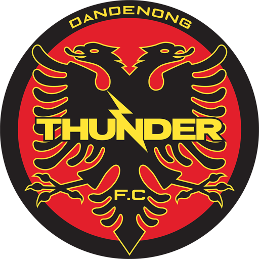 Dandenong Thunder SC artwork 1