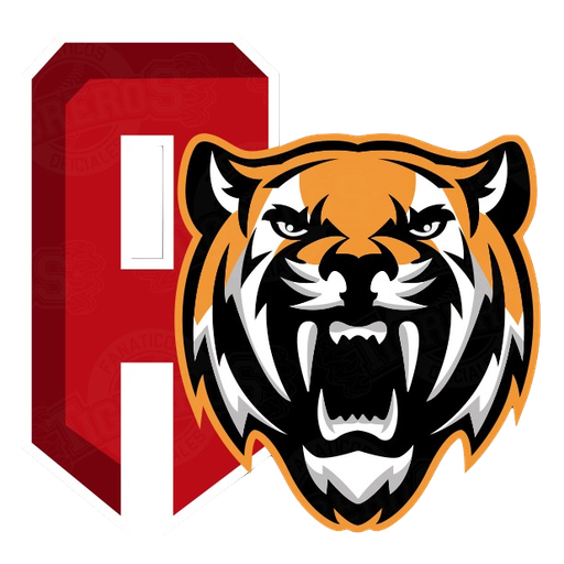 Tigres de Aragua artwork 1