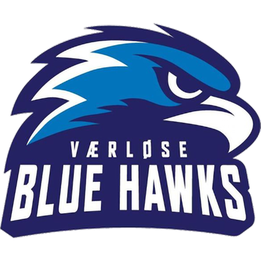 Værløse Blue Hawks artwork 1