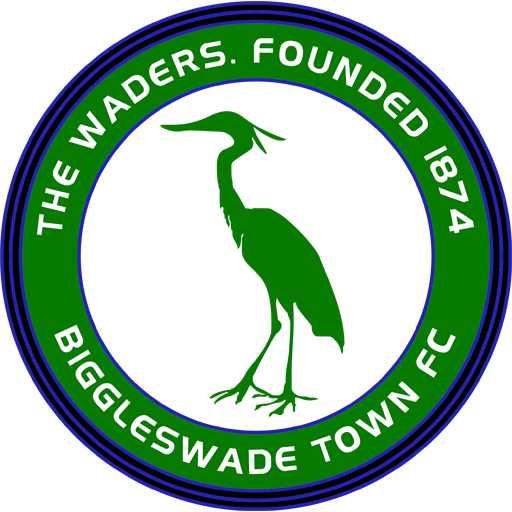 Biggleswade Town artwork 1