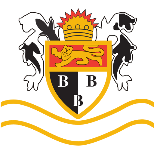 Bridlington Town artwork 1
