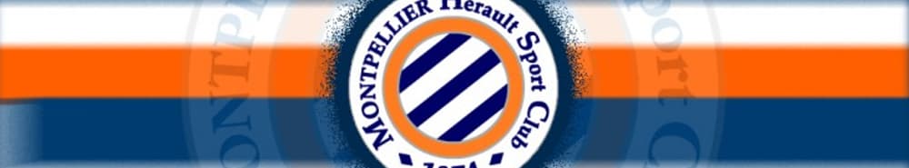 Montpellier banner