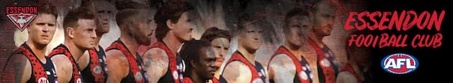 Essendon Football Club artwork 4