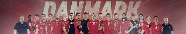 Denmark Handball artwork 4