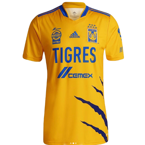 Tigres artwork 2
