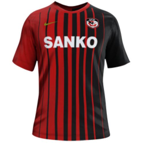 Gaziantep FK artwork 2