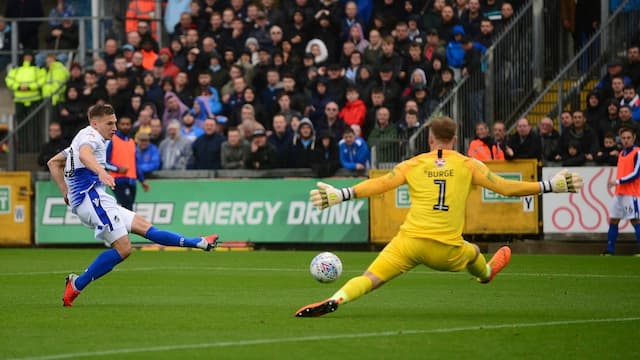 Bristol Rovers artwork 6