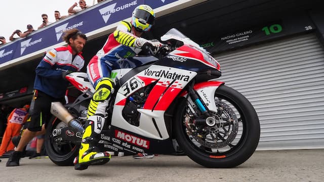 Orelac Racing artwork 7