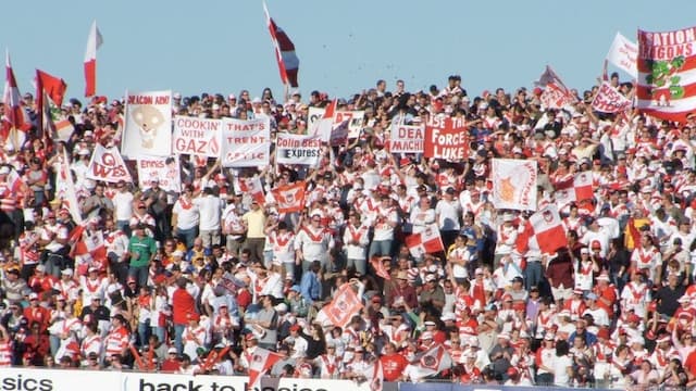 St. George Illawara Dragons artwork 8