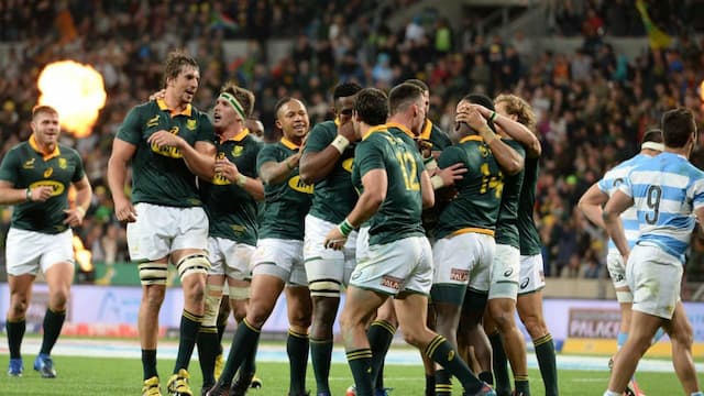 South Africa Rugby artwork 8