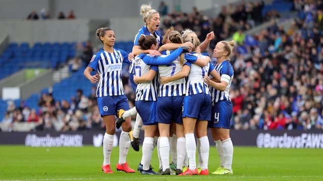 Brighton WFC artwork 8